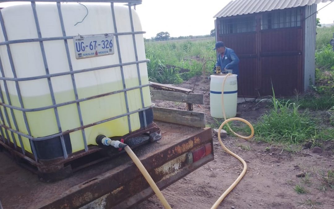 Continúa Japame clorando el agua del municipio de forma permanente